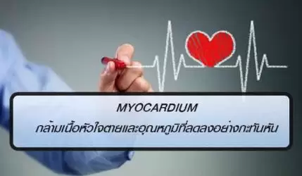 Myocardium กล้ามเนื้อหัวใจตายและอุณหภูมิที่ลดลงอย่างกะทันหัน